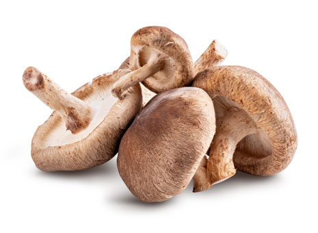 Shiitake