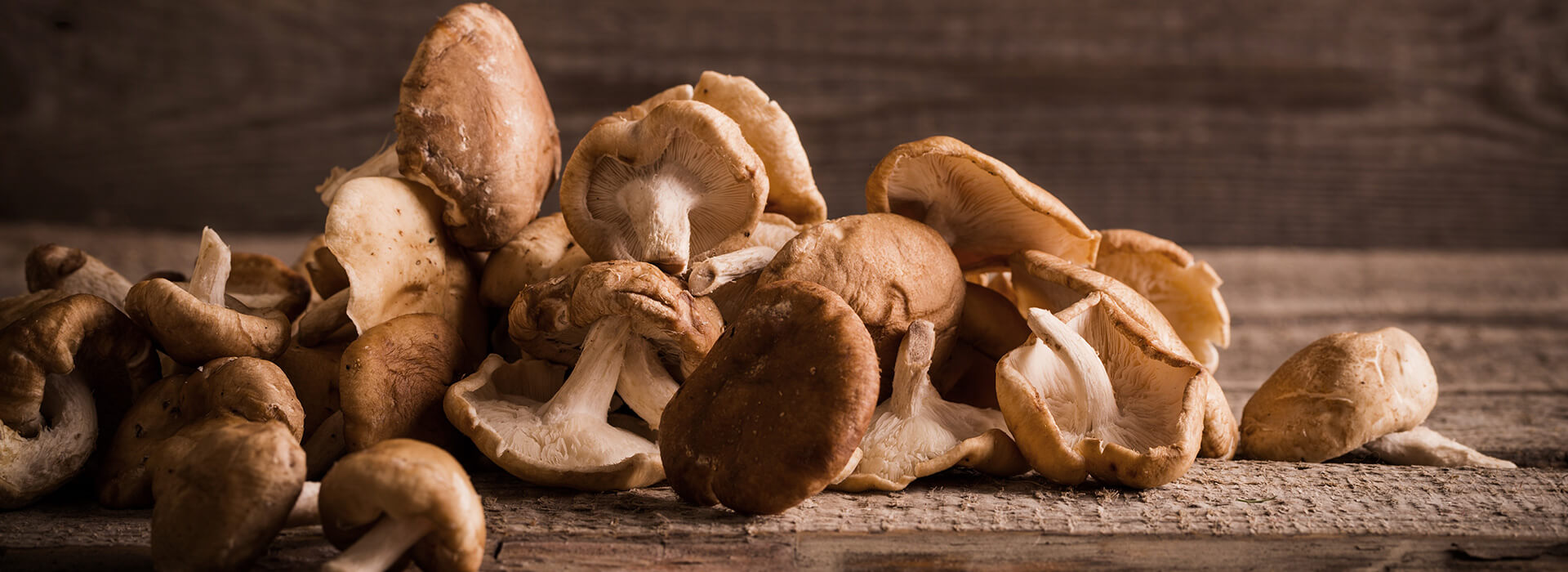 Shiitake Mushrooms